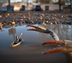 «Маленький мир» семьи Мозес