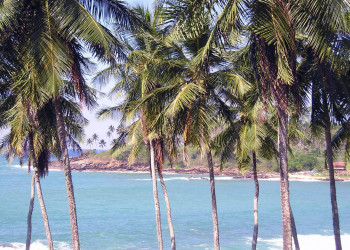 Диквелла, Шри-Ланка, фото № 51141 – фотографии Шри-Ланки