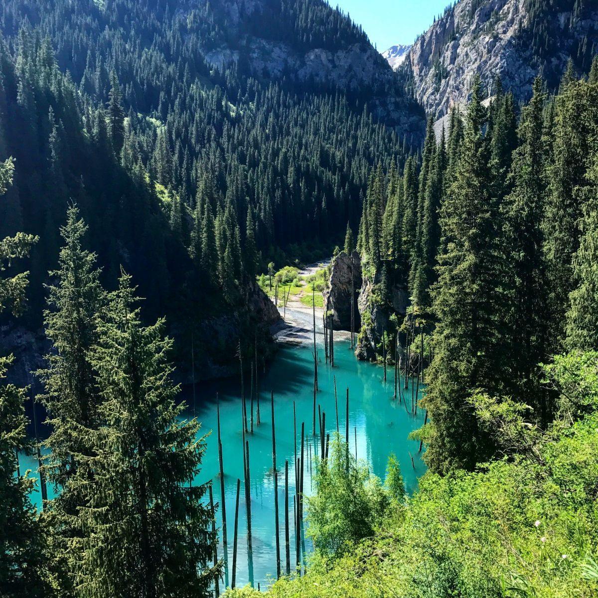 Озеро Каинди 15 – фотографии Казахстана