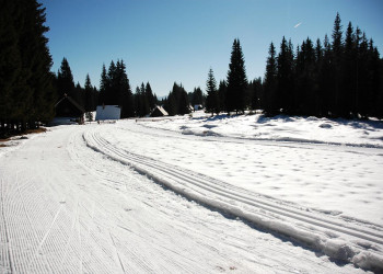 Поклюка, Словения, фото № 57412 – фотографии Словении