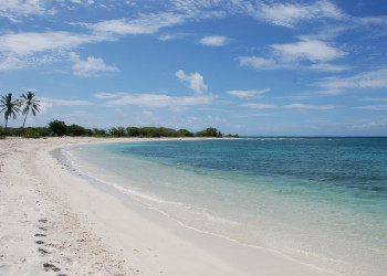 Пляж на острове Антигуа. Фото 6 – фотографии Антигуа и Барбуды