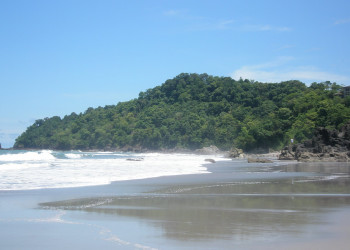 Мануэль Антонио, Пунтаренас провинция, Коста-Рика, фото № 40633 – фотографии Коста-Рики