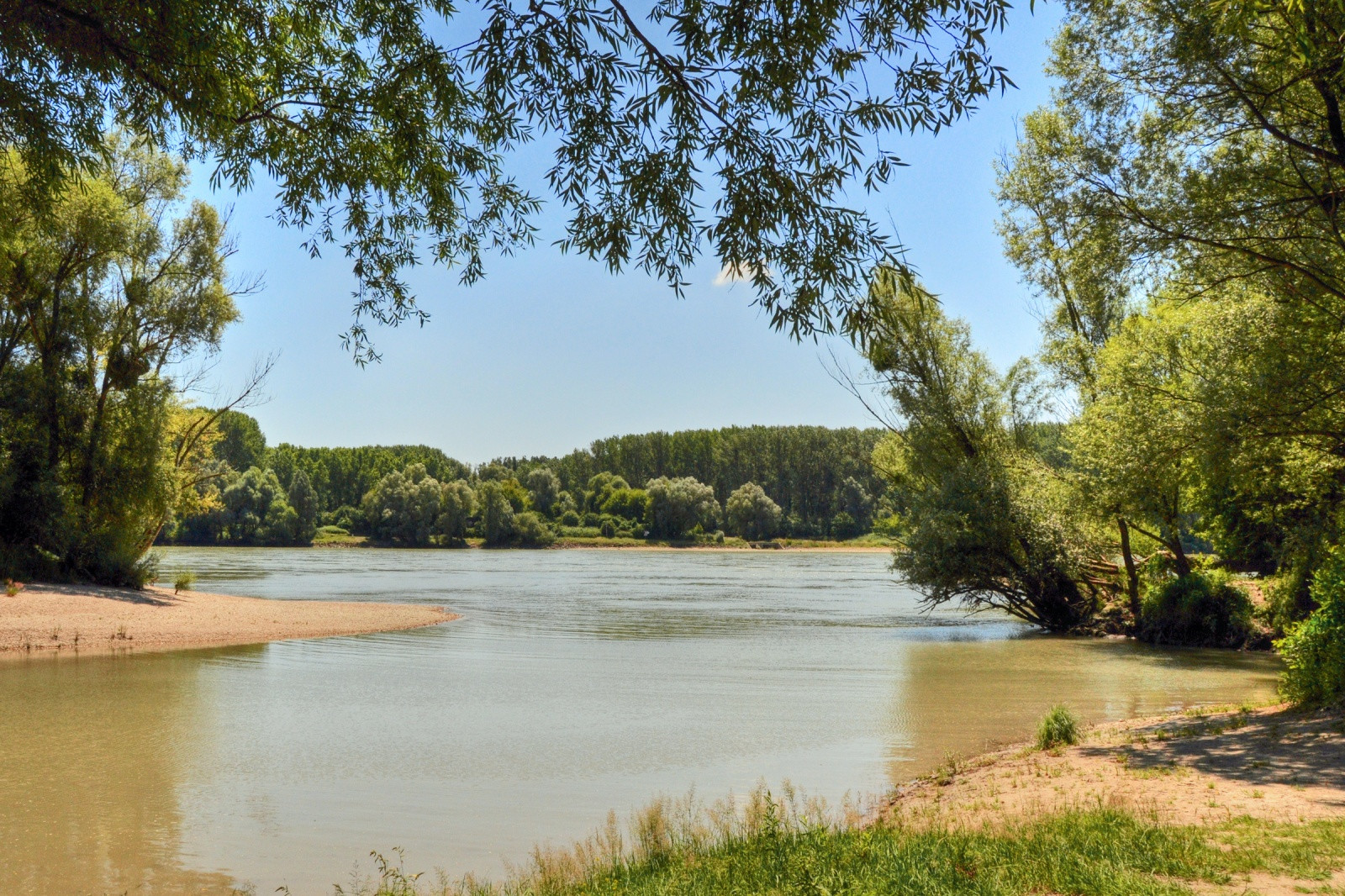 Национальный парк Донау-Ауэн (Пойма Дуная) – фотографии Австрии