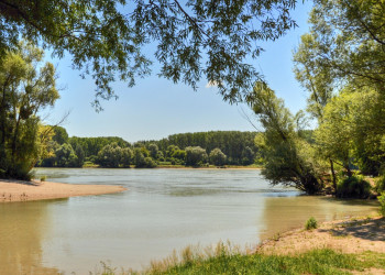 Национальный парк Донау-Ауэн (Пойма Дуная) – фотографии Австрии