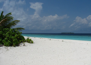 Пляж в Даалу Атолл, Мальдивы. Фото 6 – фотографии Мальдивских островов