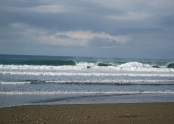 Хако, Пунтаренас провинция, Коста-Рика, фото № 41144 – фотографии Коста-Рики