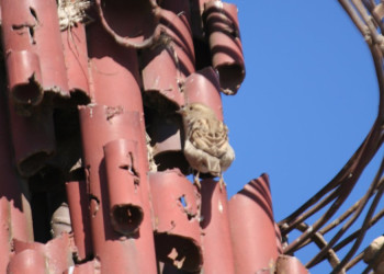 Гора Небо, Иордания, фото № 36611 – фотографии Иордании