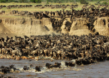 Национальный парк Серенгети, Танзания – фотографии Танзании