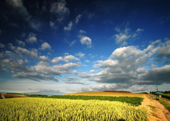 Хоккайдо остров, Хоккайдо регион, Япония, фото № 72722 – фотографии Японии