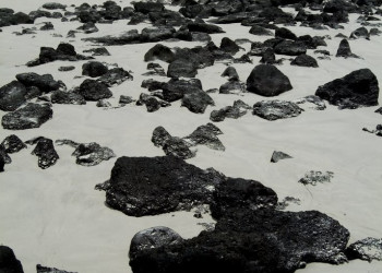 Галапагосские острова, Эквадор, фото № 68198 – фотографии Эквадора