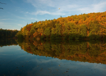 Конопиште, Чехия, фото № 68872 – фотографии Чехии