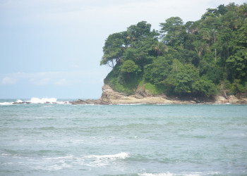 Мануэль Антонио, Пунтаренас провинция, Коста-Рика, фото № 40638 – фотографии Коста-Рики