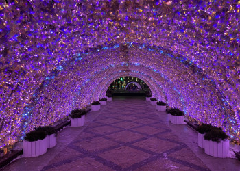 Никитский бульвар в Москве, новогодняя ночь 31 декабря – фотографии России