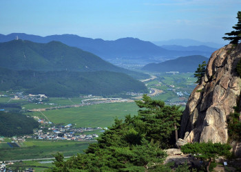 Гора Намсан в Южной Корее – фотографии Южной Кореи