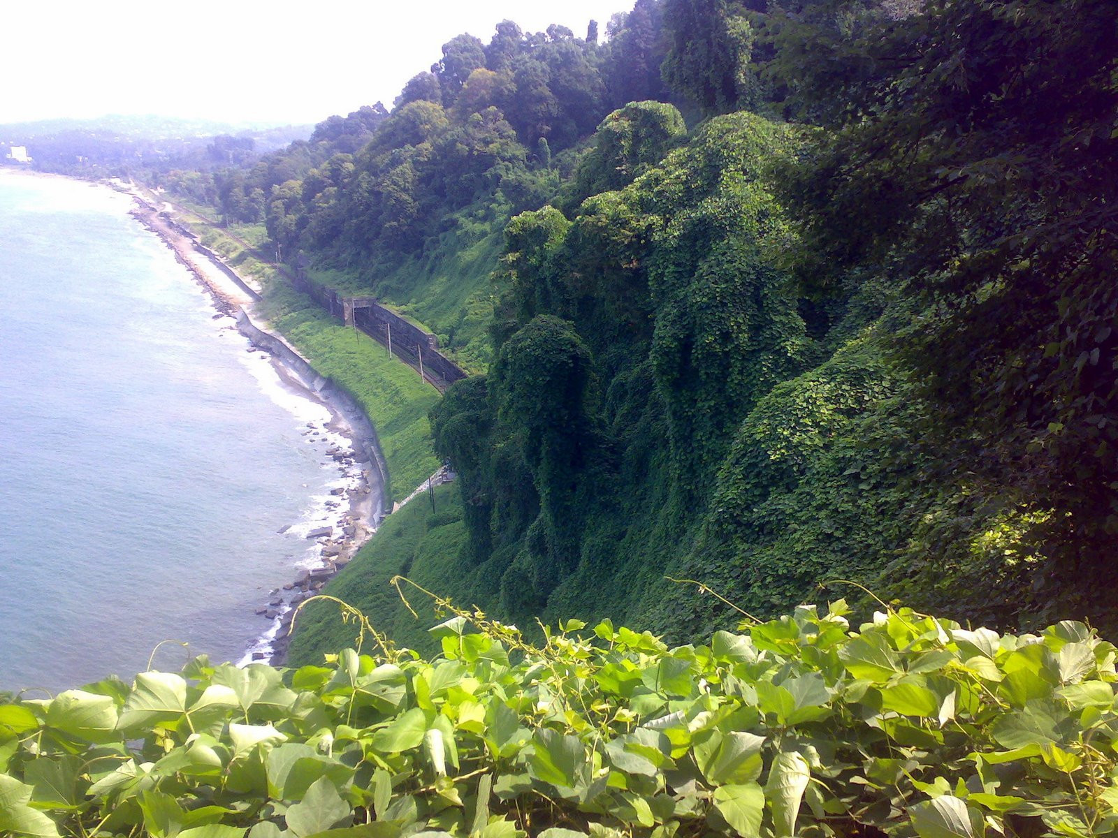 Зелёный Мыс, Грузия, фото № 73456 – фотографии Грузии