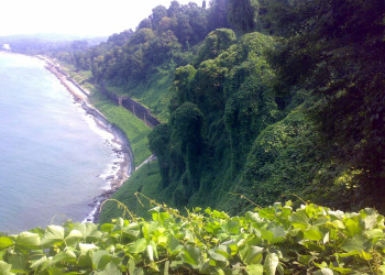 Зелёный Мыс, Грузия, фото № 73456 – фотографии Грузии