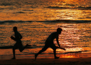 Хиккадува, Шри-Ланка, фото № 52539 – фотографии Шри-Ланки