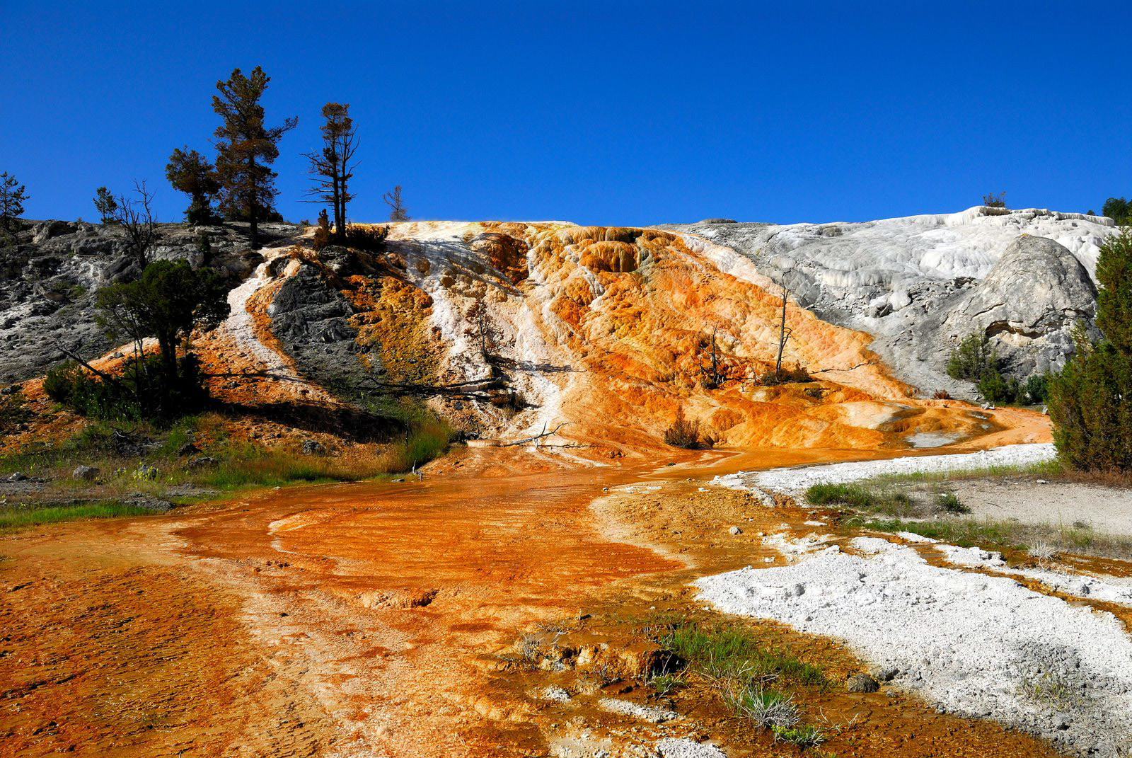 Йеллоустонский национальный парк – фотографии США