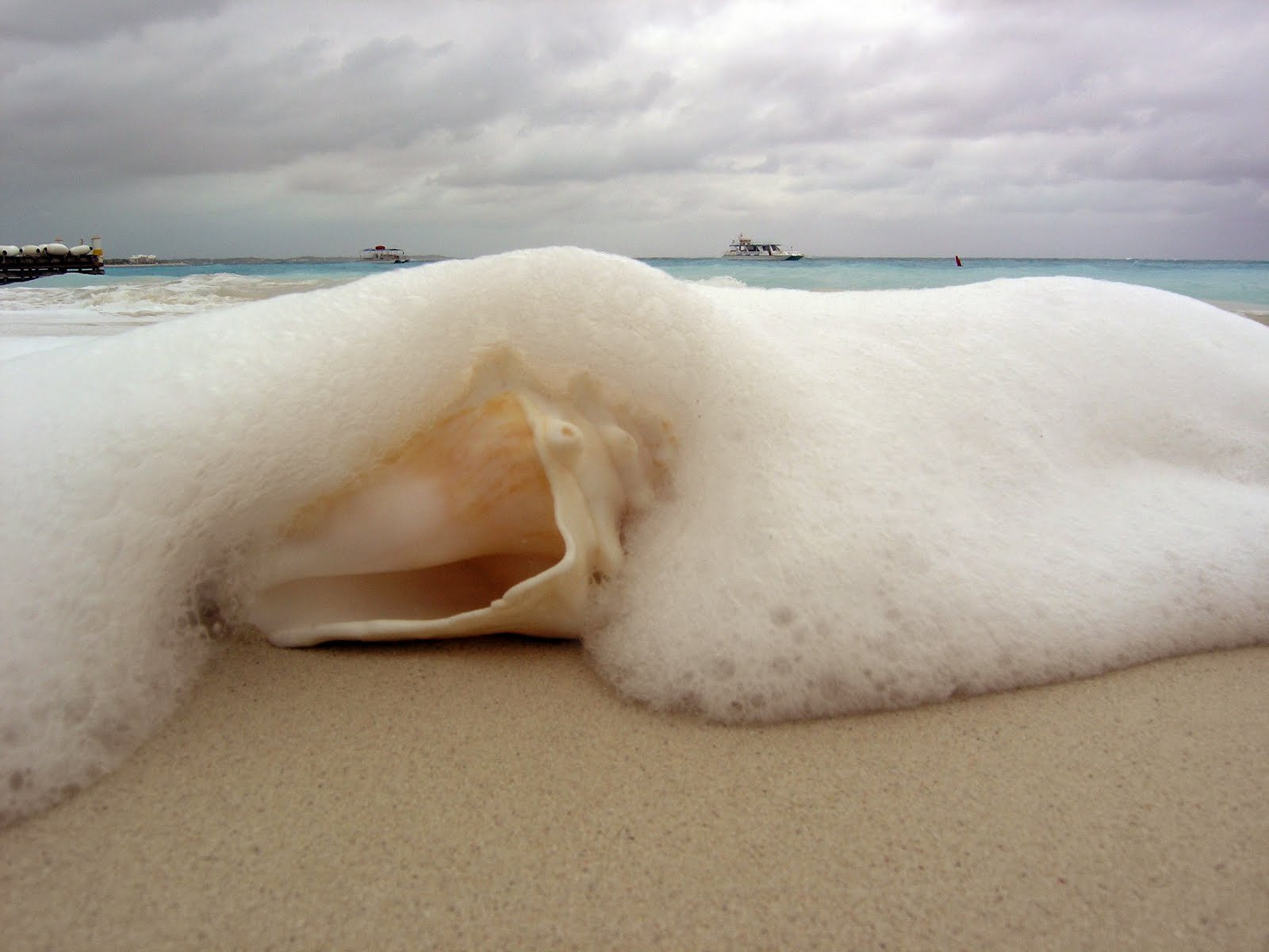 Тёркс и Кайкос, фото № 4098 – фотографии Тёркс и Кайкос