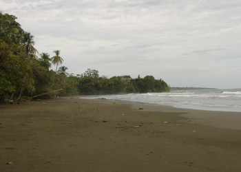 Кауита, Лимон провинция, Коста-Рика, фото № 40052 – фотографии Коста-Рики