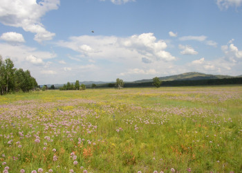 Природа в Дарасун, Россия – фотографии России