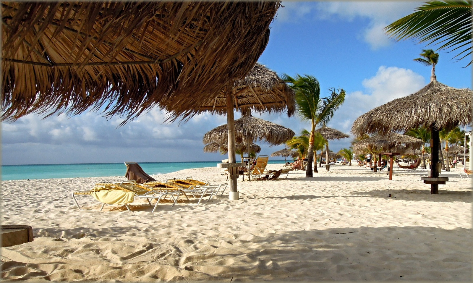 Аруба. Фото 16 – фотографии Арубы