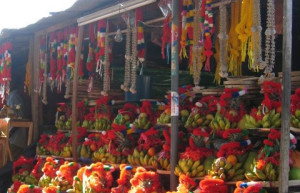 Катарагама, Шри-Ланка, фото № 51475 – фотографии Шри-Ланки