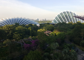 Сады у Залива (Gardens by the Bay). Фото 1 – фотографии Сингапура