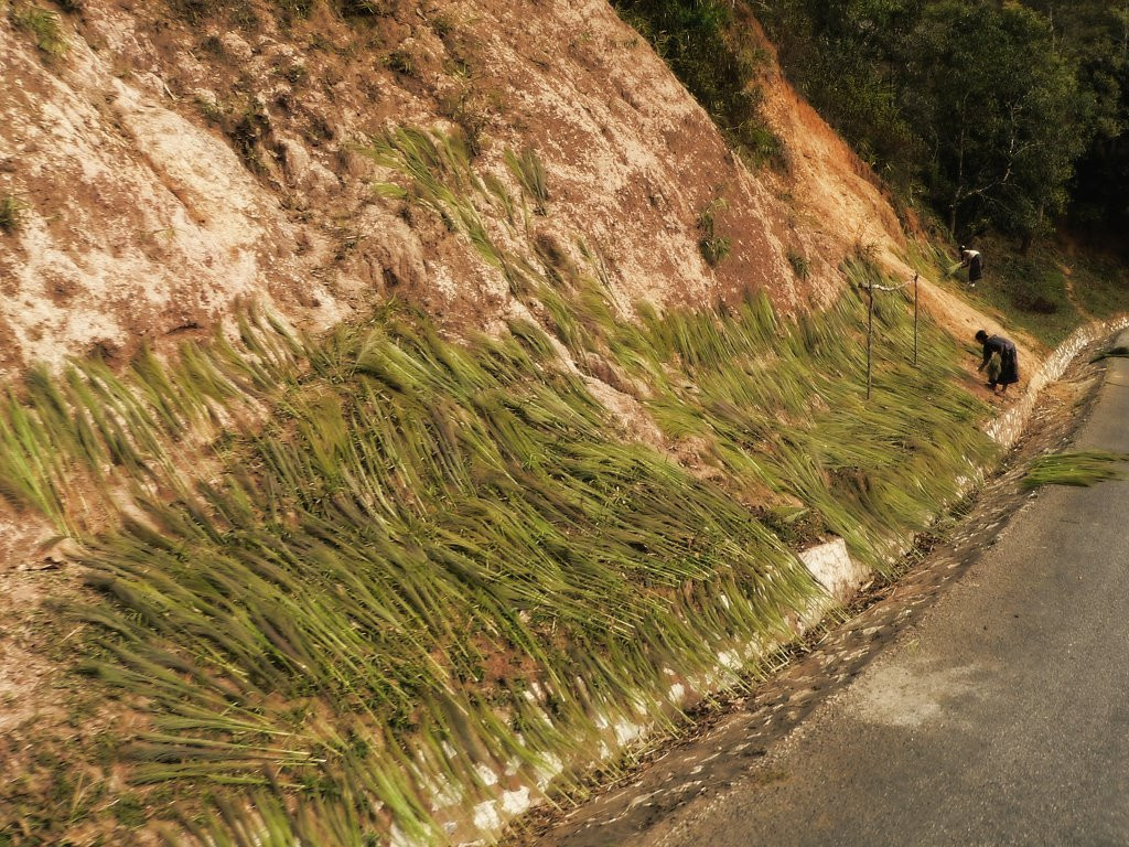 Laos_road – фотографии Лаоса