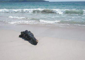 Плайя Фламинго, Гуанакасте провинция, Коста-Рика, фото № 39801 – фотографии Коста-Рики