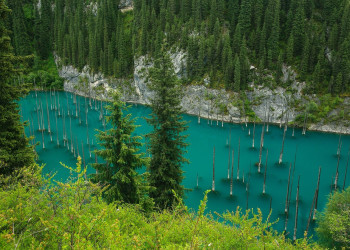 Озеро Каинди в Казахстане – фотографии Казахстана