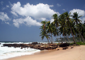 Тангалле, Шри-Ланка, фото № 52387 – фотографии Шри-Ланки