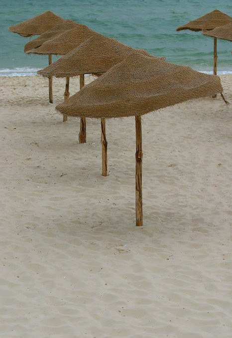 Пляж в Северном Тунисе – фотографии Туниса