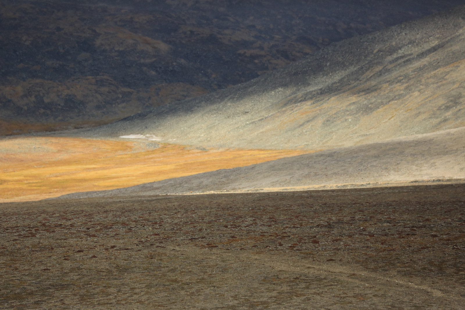 О-в Врангеля, Чукотка, Северный Ледовитый океан. Фото 5 – фотографии России