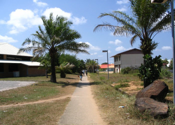 Kourou_allée_bac_path – фотографии Французской Гвианы