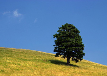 Велика Планина, Словения, фото № 56973 – фотографии Словении