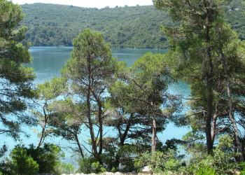 Национальный парк, Хорватия. Фото 7 – фотографии Хорватии