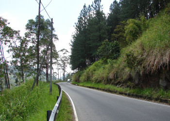 Нувара Элия, Шри-Ланка, фото № 52005 – фотографии Шри-Ланки