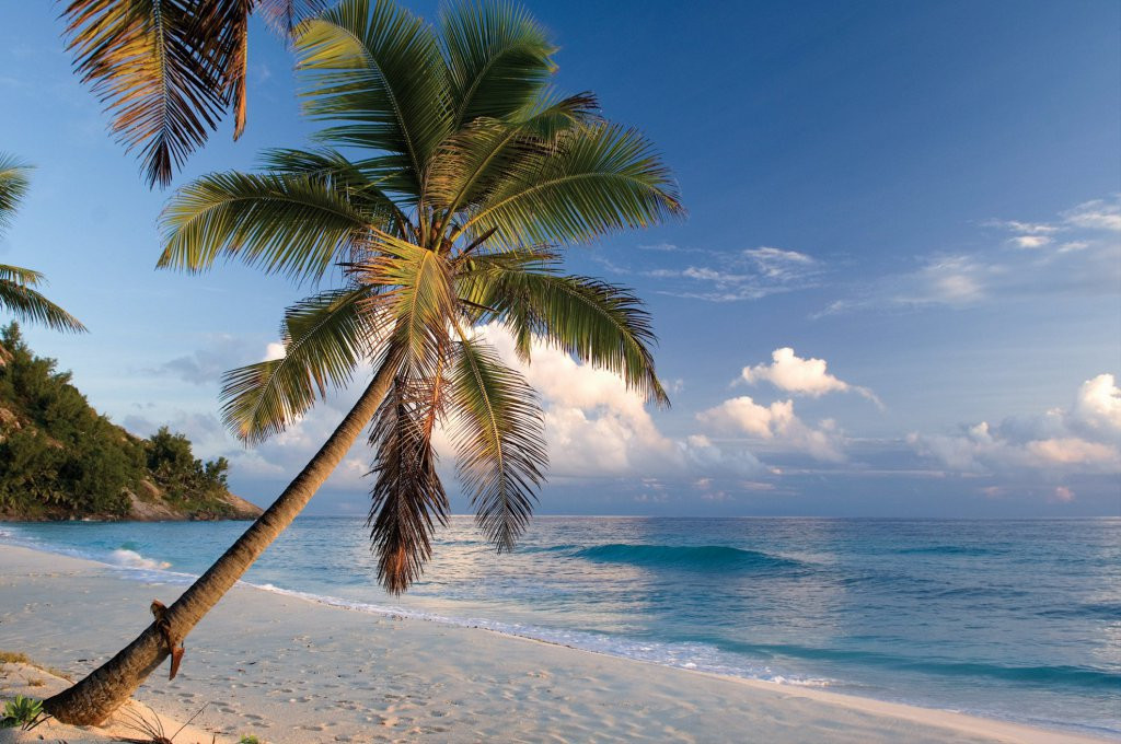 Пляж на острове Норт, Сейшелы – фотографии Сейшельских островов