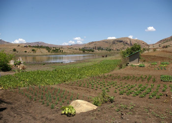 Мадагаскар, фото № 2199 – фотографии Мадагаскара