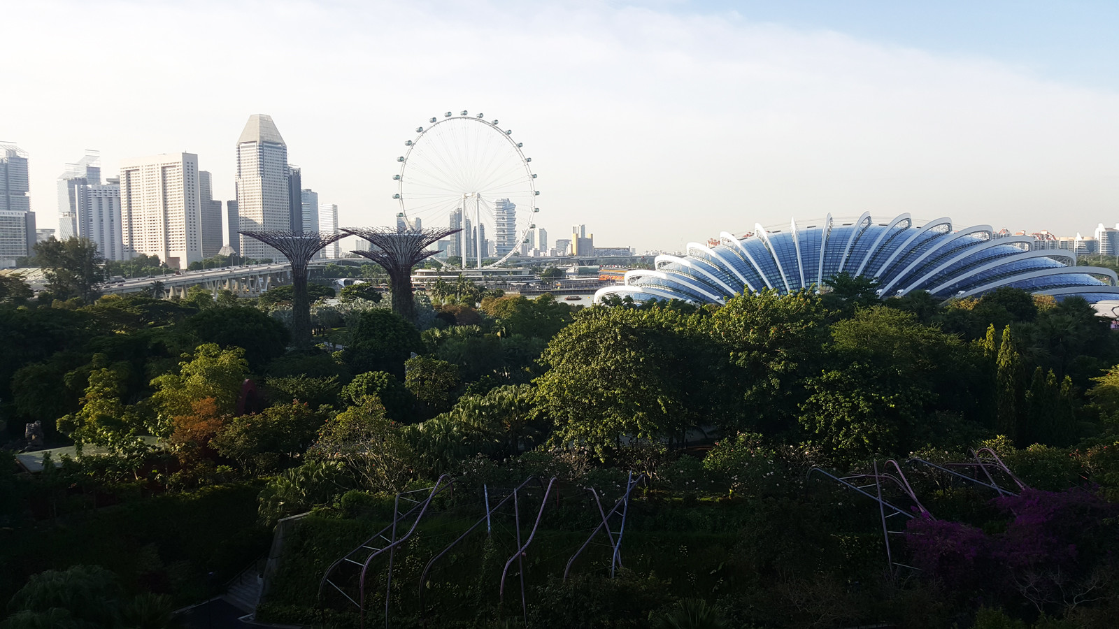 Сады у Залива (Gardens by the Bay). Фото 2 – фотографии Сингапура