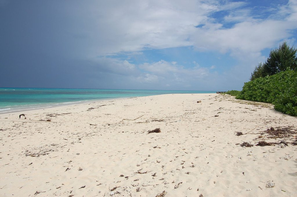 Пляж на острове Денис. Фото 4 – фотографии Сейшельских островов