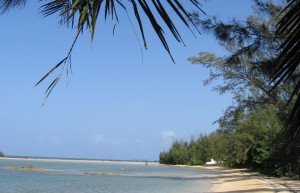 Пляж на острове Андрос, Багамские острова. Фото 1 – фотографии Багамских островов