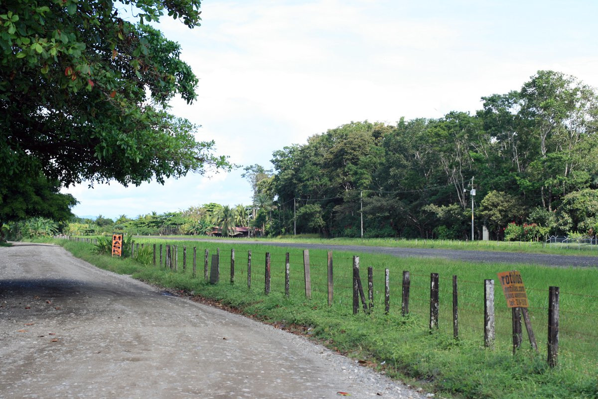 Пуэрто Хименез, Пунтаренас провинция, Коста-Рика, фото № 41106 – фотографии Коста-Рики