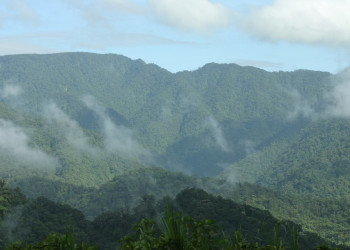 Браулио Каррильо Национальный Парк, Эредия провинция, Коста-Рика, фото № 39996 – фотографии Коста-Рики