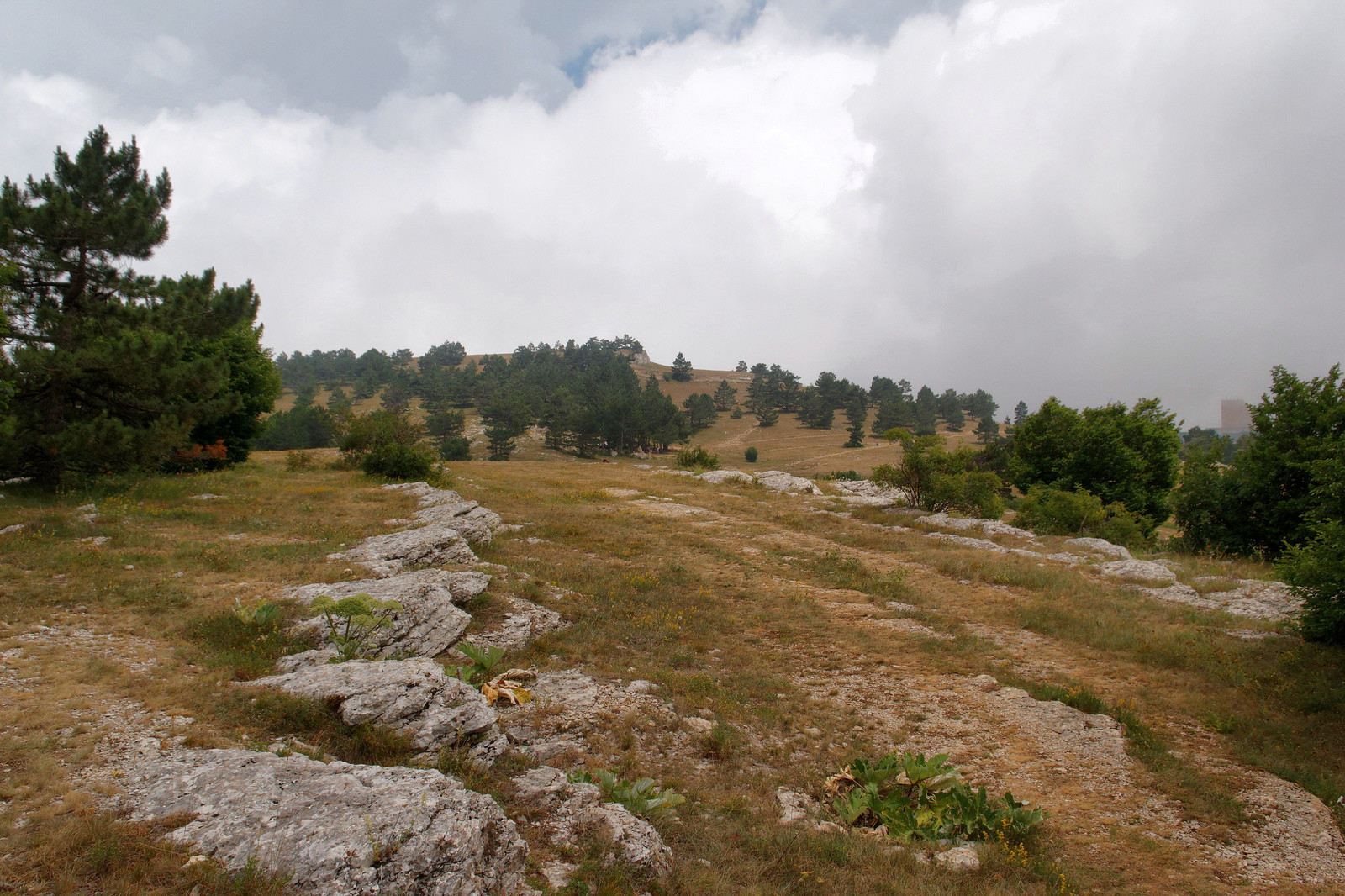 Ай-Петри, Крым, Россия. Фото 13 – фотографии России