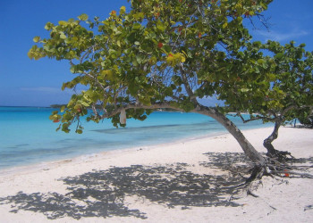 Пляж в Ольгин провинция, Куба. Фото 13 – фотографии Кубы