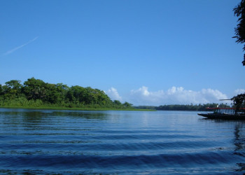 Тортугеро Национальный парк, Лимон провинция, Коста-Рика, фото № 40343 – фотографии Коста-Рики
