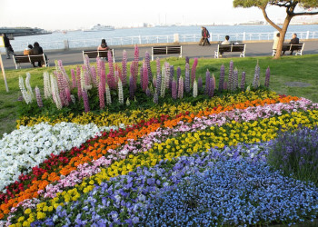 Иокогама (Yokohama) – фотографии Японии