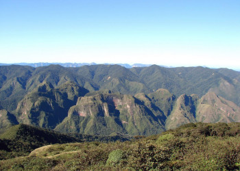 Парк Амборо – фотографии Боливии